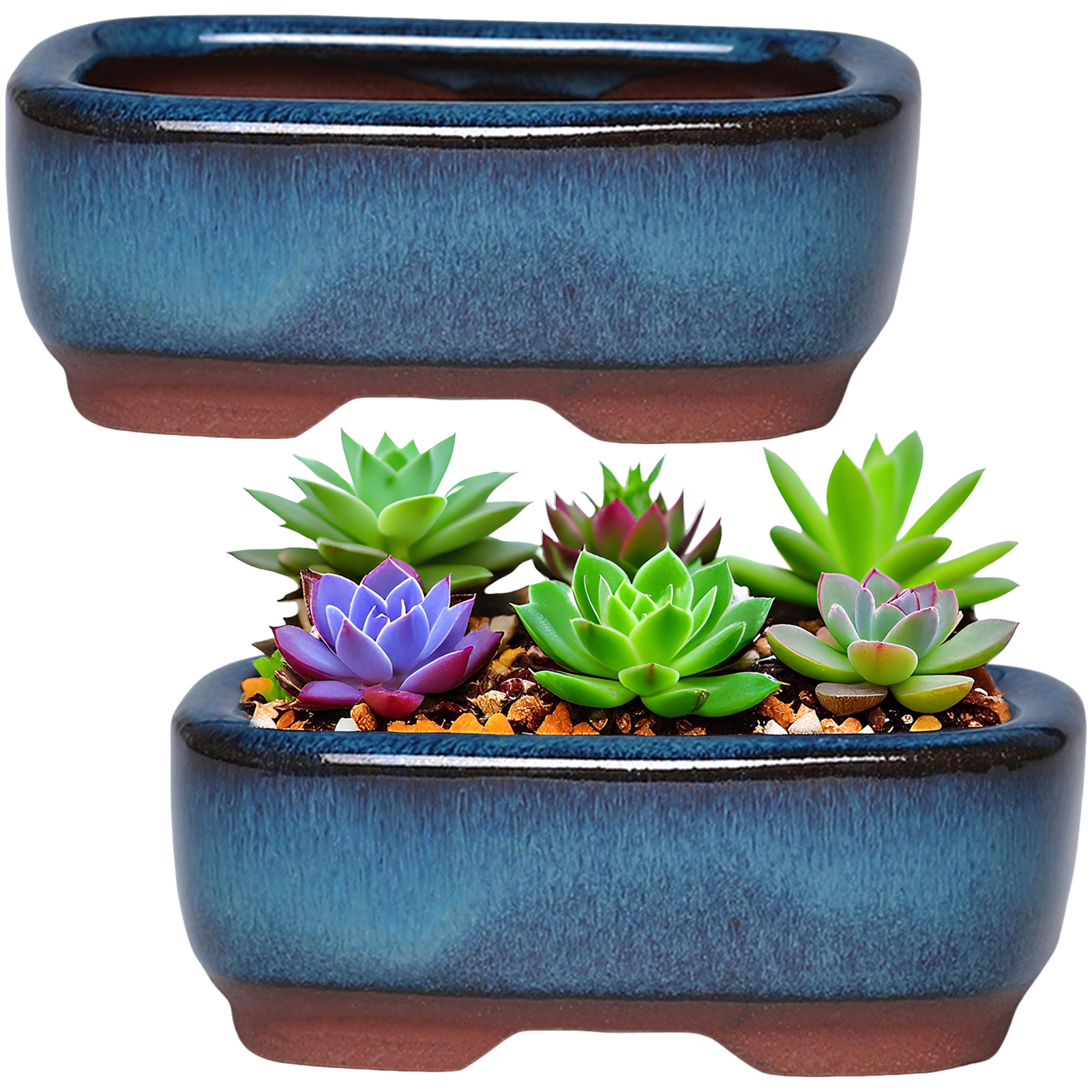 Pilea Peperomioides - Ceramic Flowerpot Creative Succulent Planter with