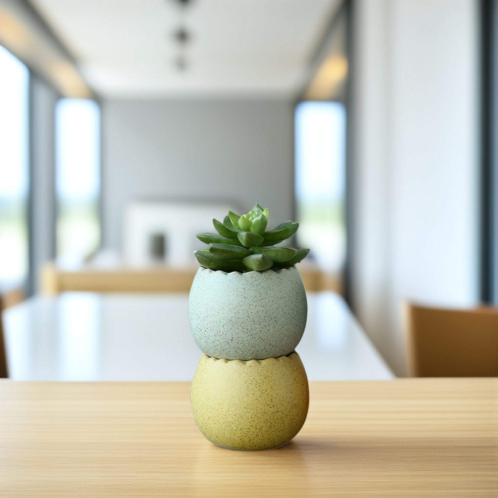 Aloe Vera Pot - 6Pcs Stylish Ceramic Mini Pots Set