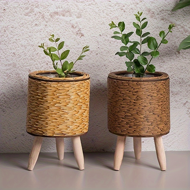 Pilea Peperomioides - Charming Rustic Rattan Planter With Wooden