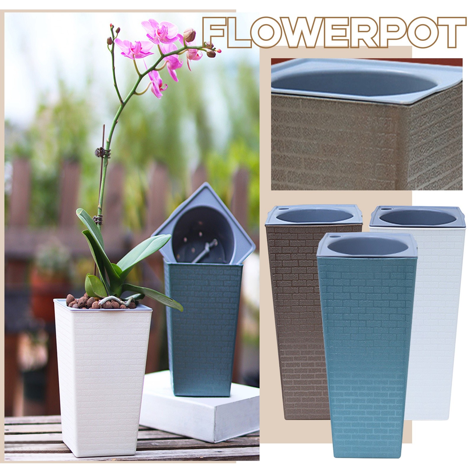 Pilea Peperomioides - Bonsai-pattern Square Flowerpot High Floor Flower