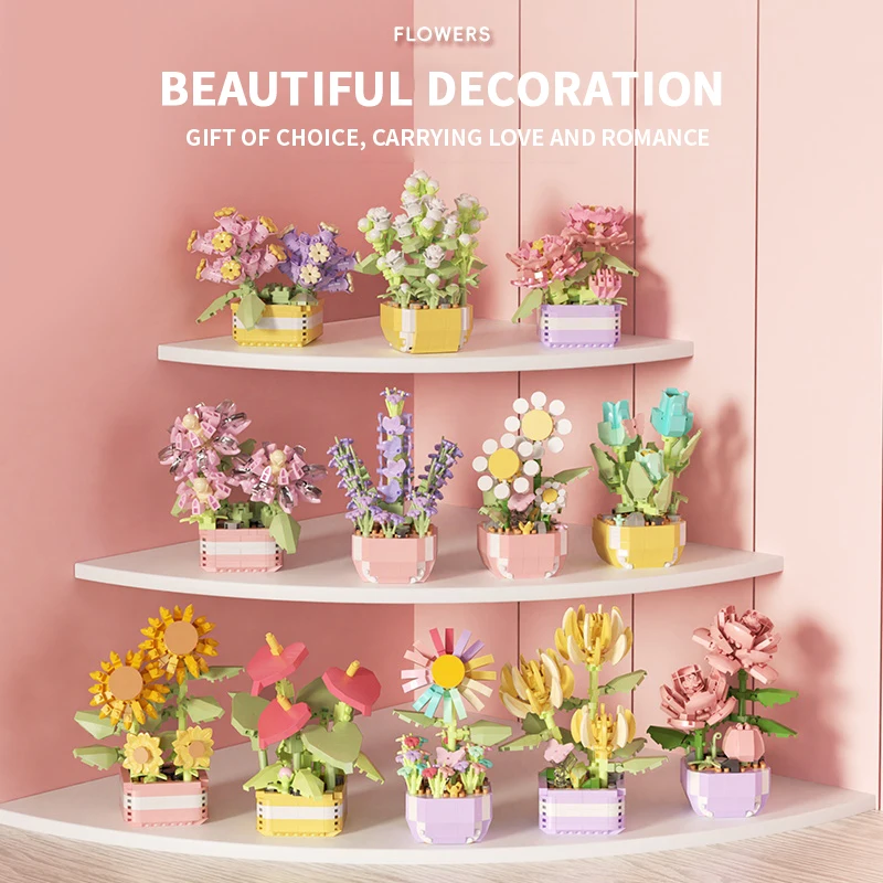 Flower Succulents Building Blo - Echeveria Succulent ulasan dan harga