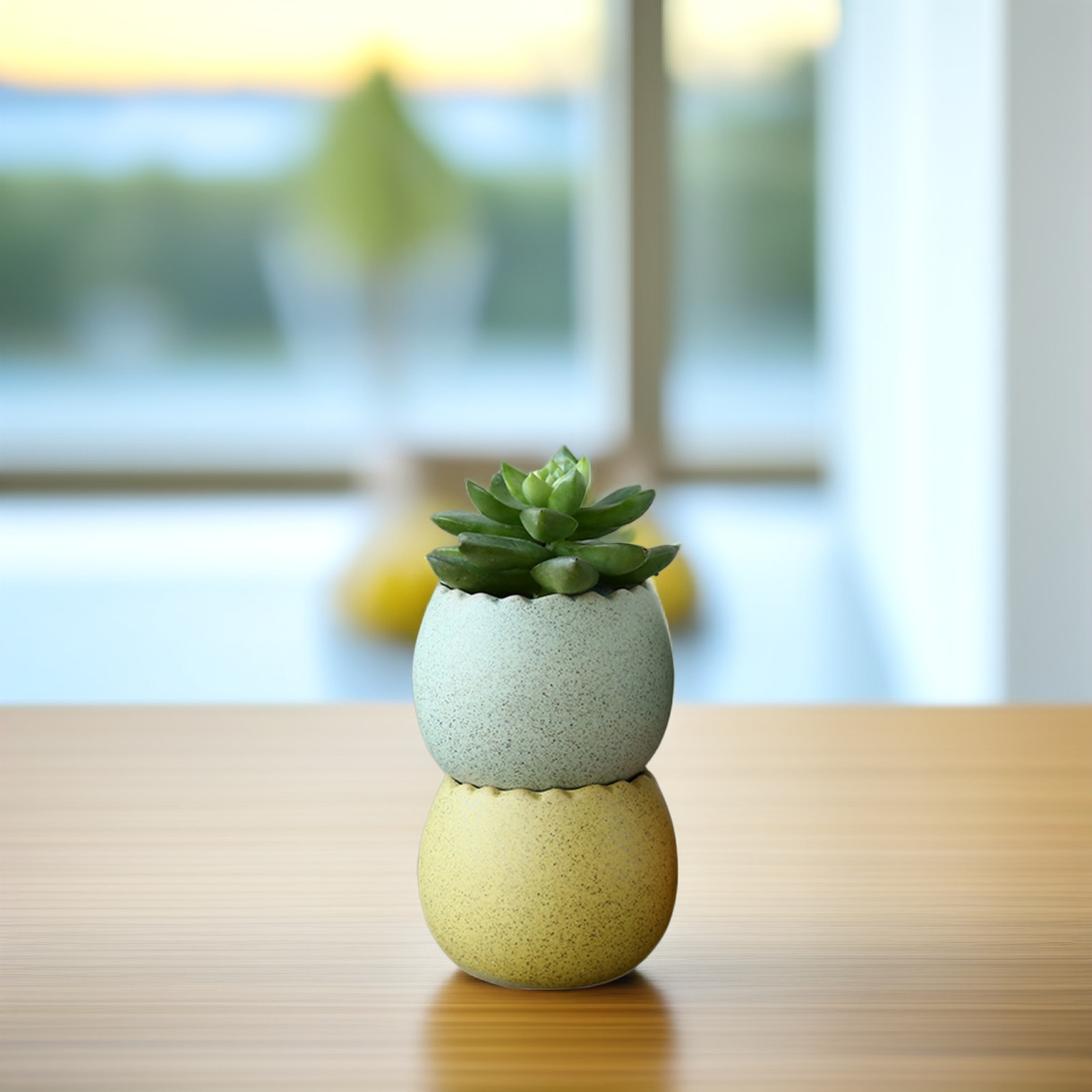 6Pcs Stylish Ceramic Mini Pots - Aloe Vera Pot ulasan dan harga