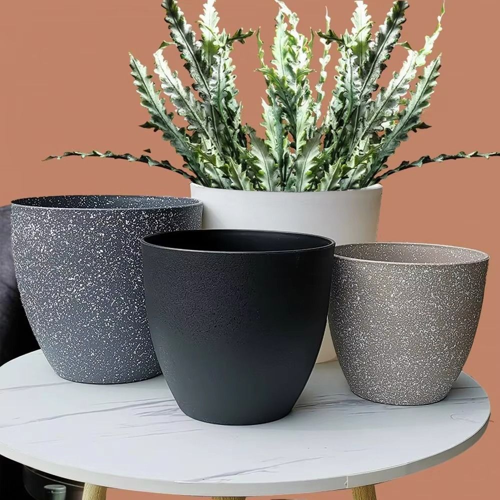 Frosted Imitation Stone Bonsai - Pilea Peperomioides ulasan dan harga
