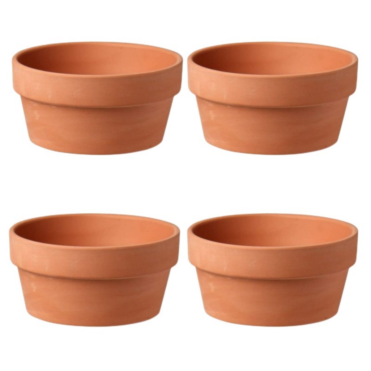 6 PCS Terracotta Buld Pots 3.5 - Pilea Peperomioides ulasan dan harga