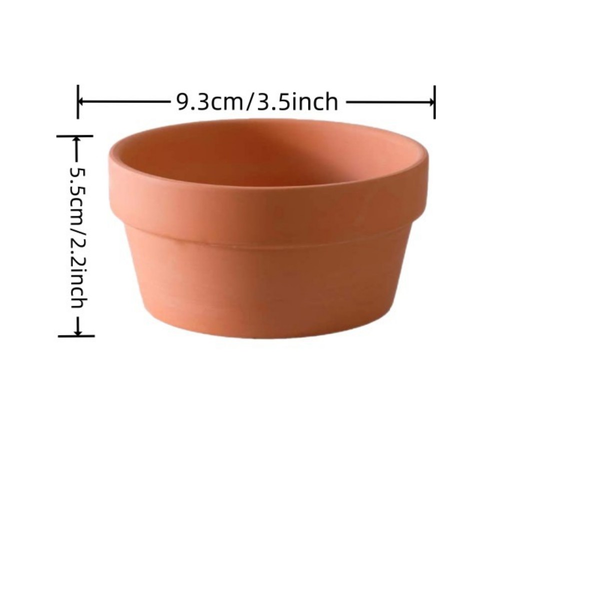 6 PCS Terracotta Buld Pots 3.5 - Pilea Peperomioides ulasan dan harga