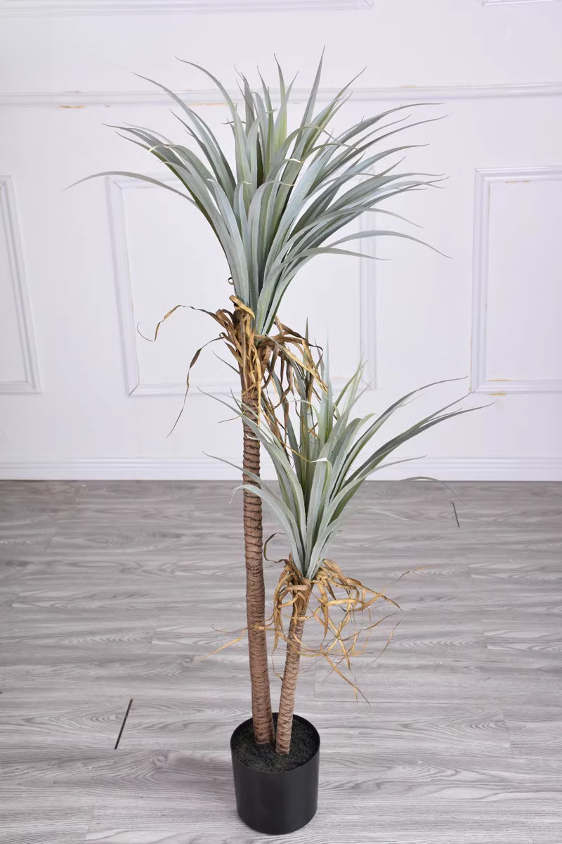Dragon Blood Yucca Artificial  - Dracaena Marginata ulasan dan harga