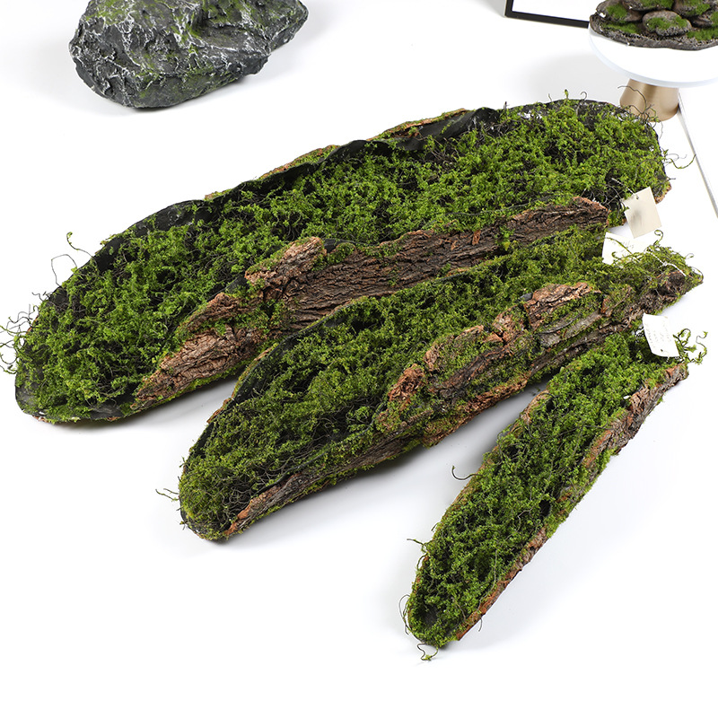 Creative Bark Moss Moss Artifi - Pilea Peperomioides ulasan dan harga