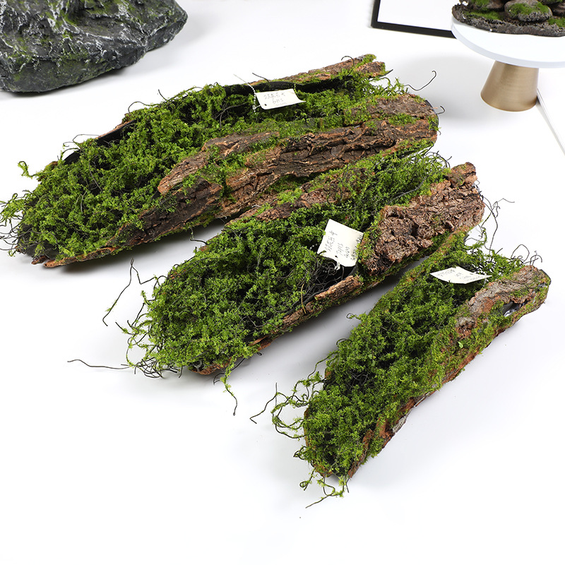 Creative Bark Moss Moss Artifi - Pilea Peperomioides ulasan dan harga