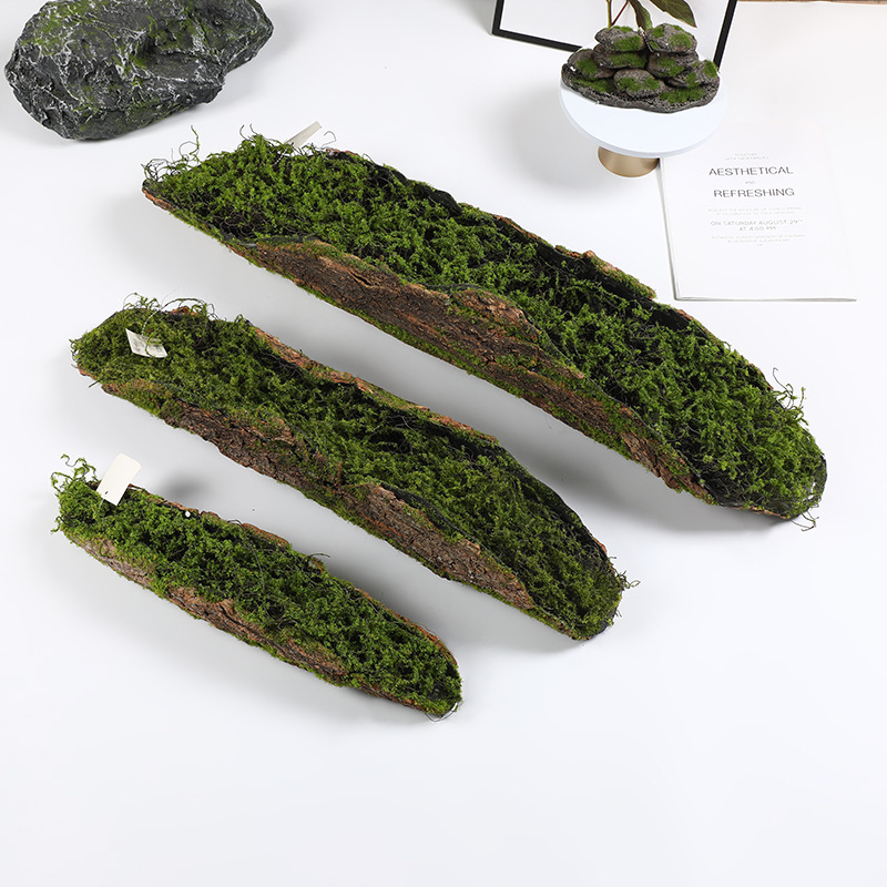 Creative Bark Moss Moss Artifi - Pilea Peperomioides ulasan dan harga