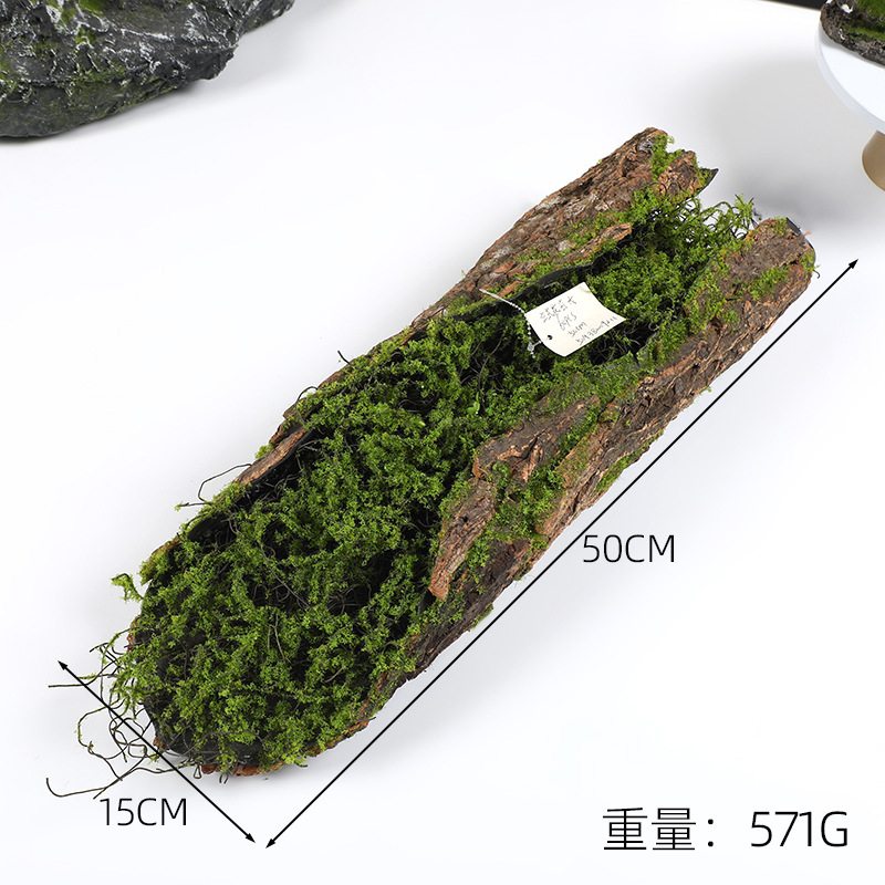 Creative Bark Moss Moss Artifi - Pilea Peperomioides ulasan dan harga
