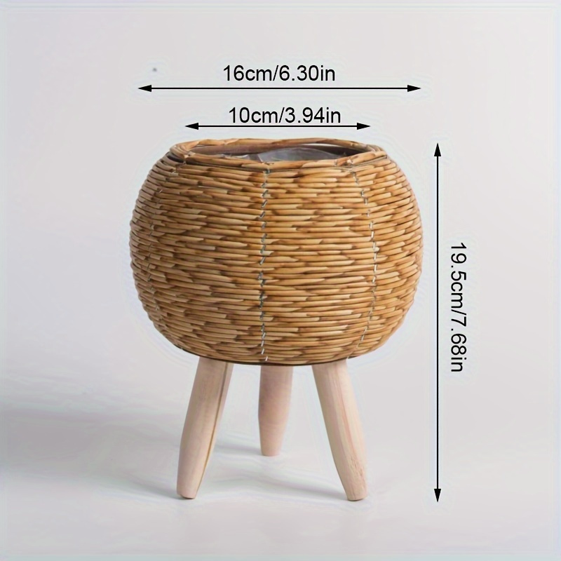 Charming Rustic Rattan Planter - Pilea Peperomioides ulasan dan harga