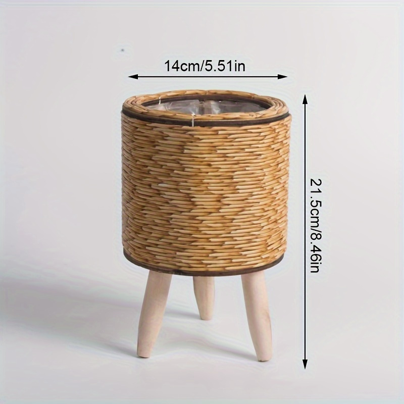 Charming Rustic Rattan Planter - Pilea Peperomioides ulasan dan harga