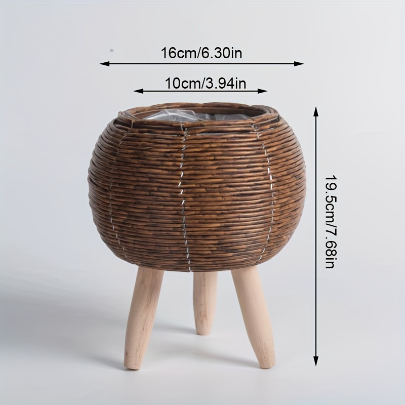 Charming Rustic Rattan Planter - Pilea Peperomioides ulasan dan harga