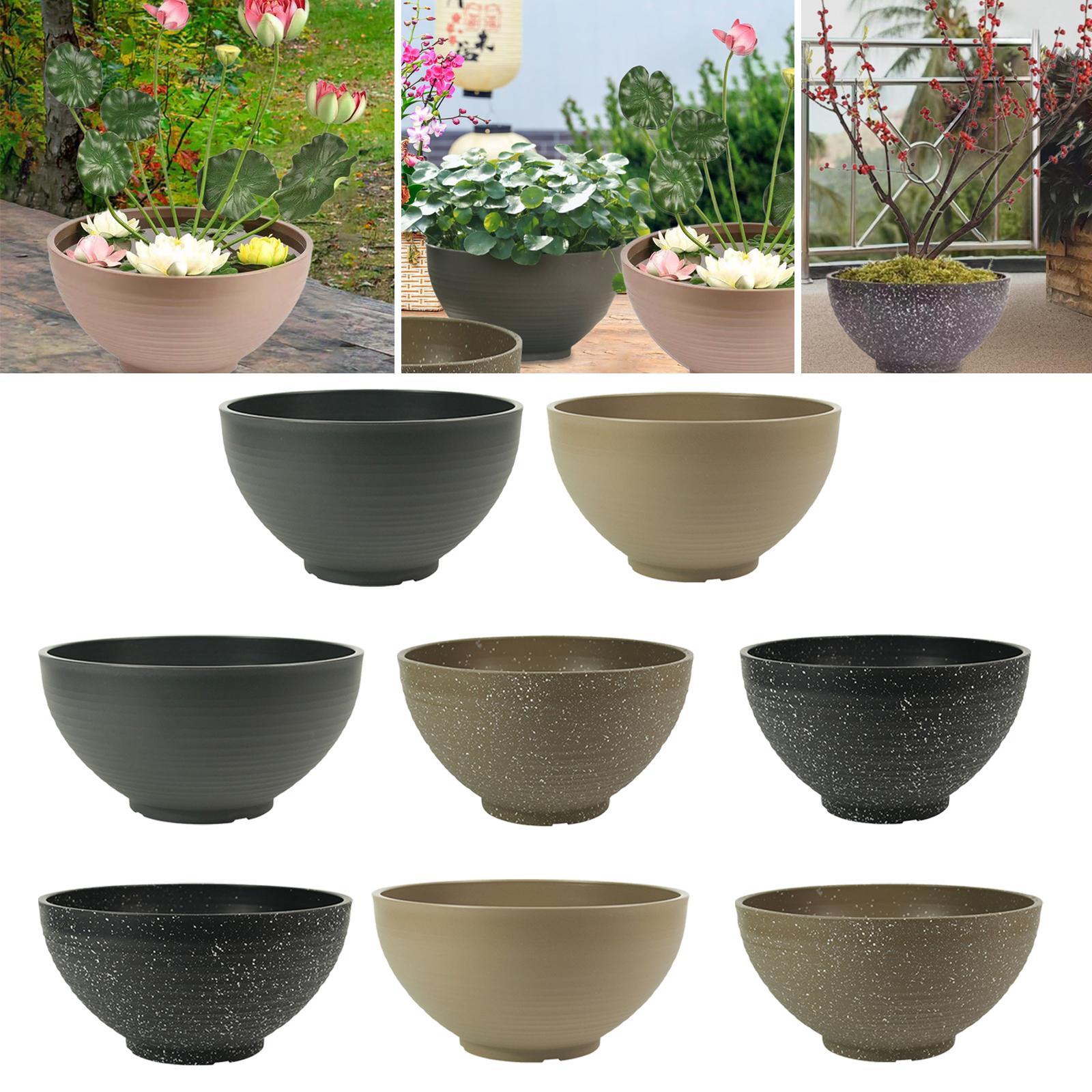 Garden Large-capacity Bowl Pla - Aloe Vera Pot ulasan dan harga