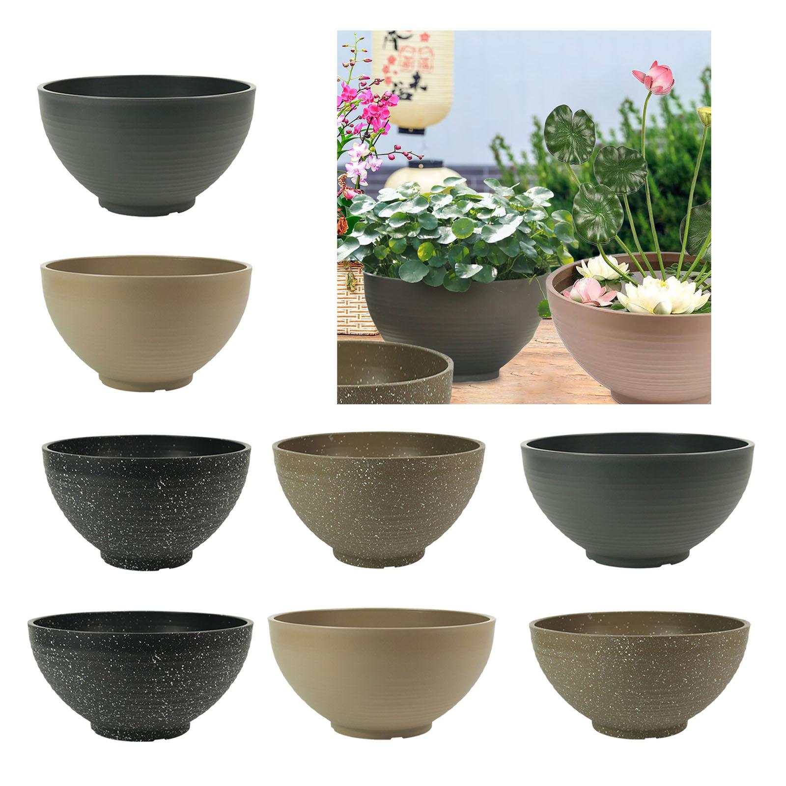 Garden Large-capacity Bowl Pla - Aloe Vera Pot ulasan dan harga