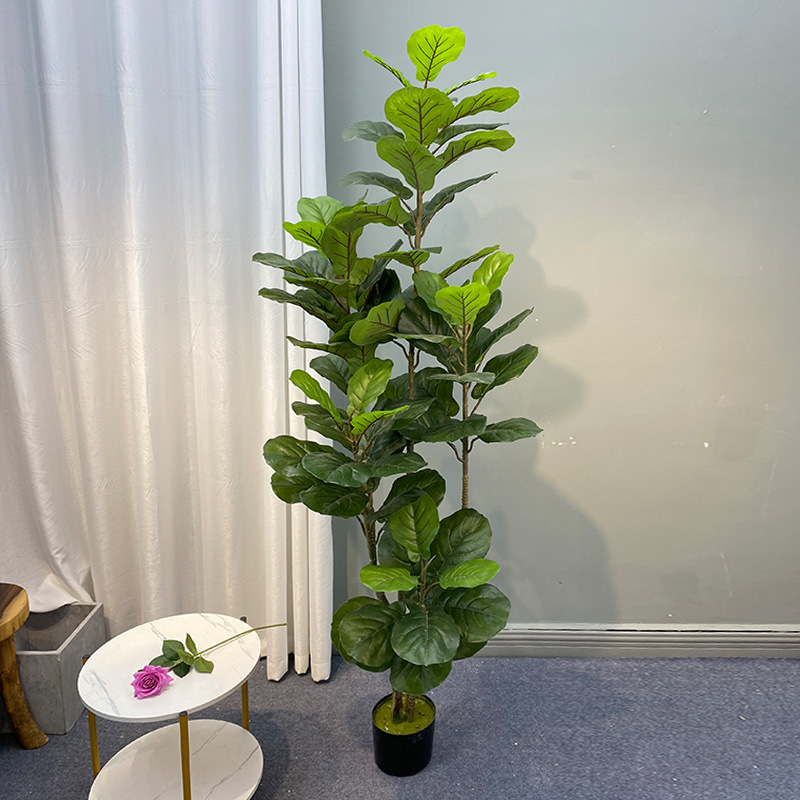59in Large Ficus Tree Artifici - Dracaena Marginata ulasan dan harga