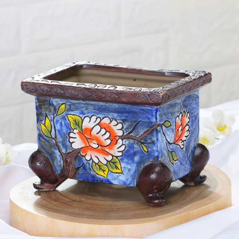 Korean Style Handpainted Flora - Pilea Peperomioides ulasan dan harga