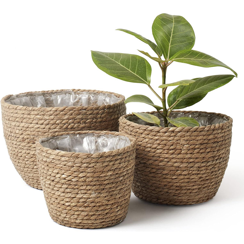 Natural Woven Flower Basket St - Aloe Vera Pot ulasan dan harga