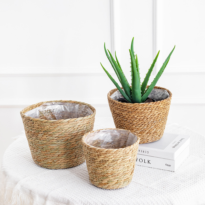 Natural Woven Flower Basket St - Aloe Vera Pot ulasan dan harga