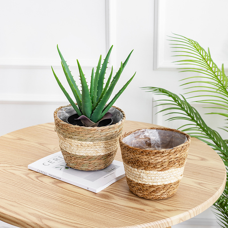 Natural Woven Flower Basket St - Aloe Vera Pot ulasan dan harga