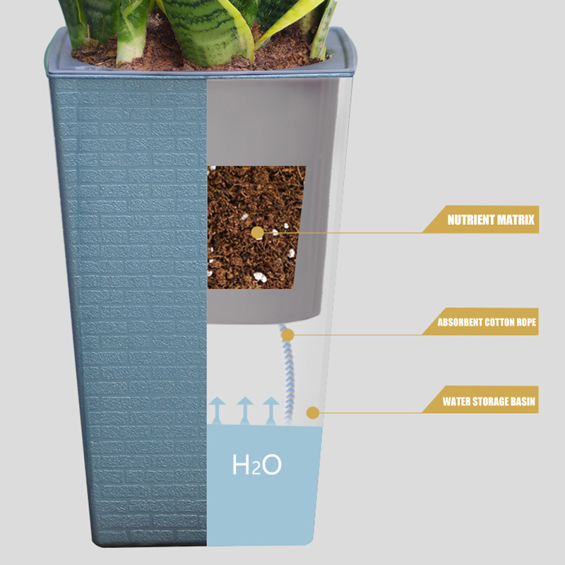 Brick Pattern Flowerpot Imitat - Pilea Peperomioides ulasan dan harga