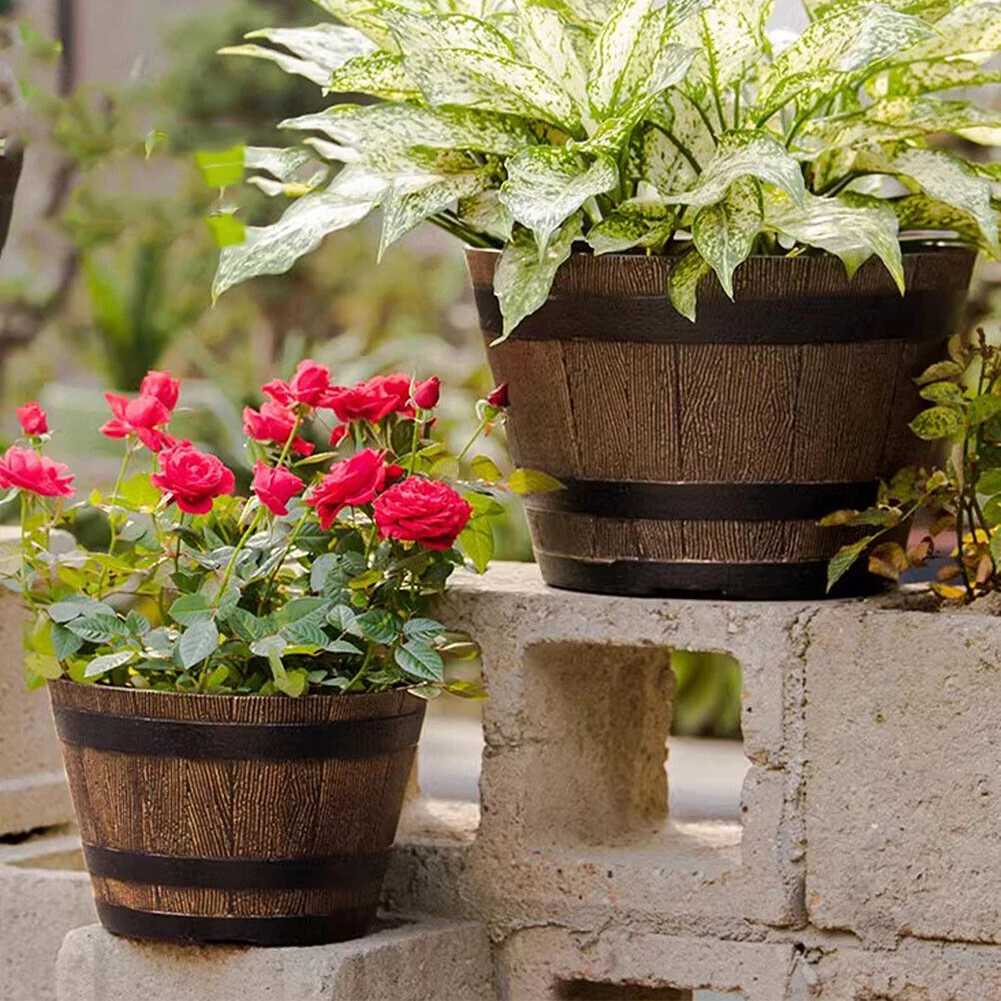 Rustic Whiskey Bucket Resin Po - Aloe Vera Pot ulasan dan harga