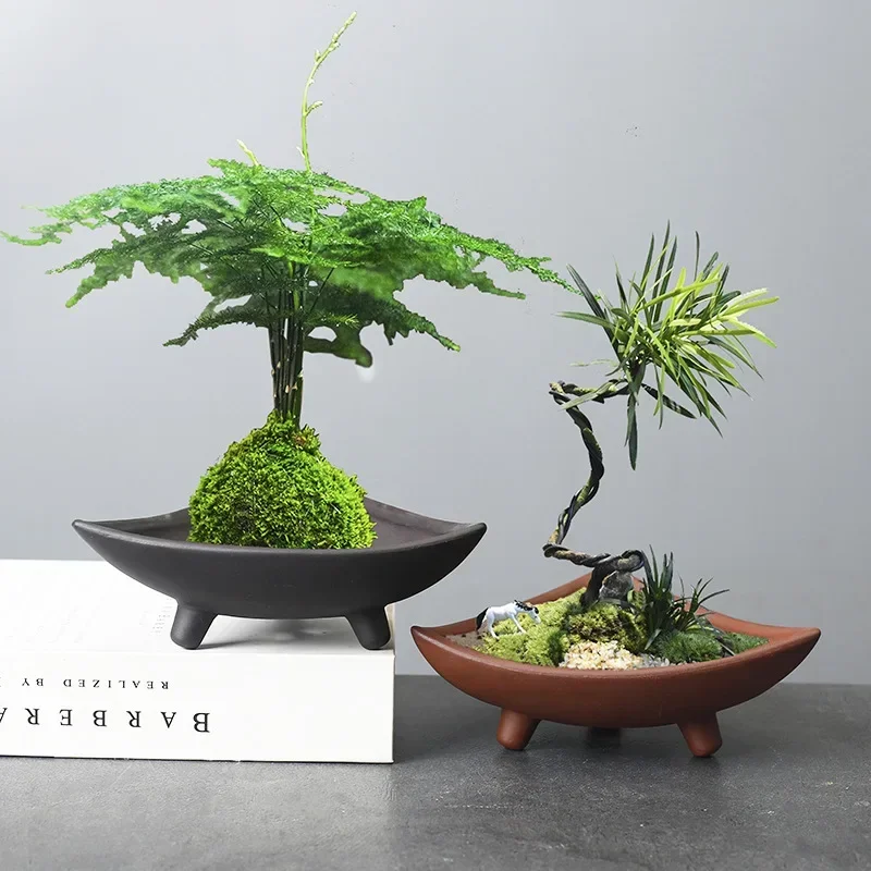 Personalized Ceramic Flower Po - Pilea Peperomioides ulasan dan harga