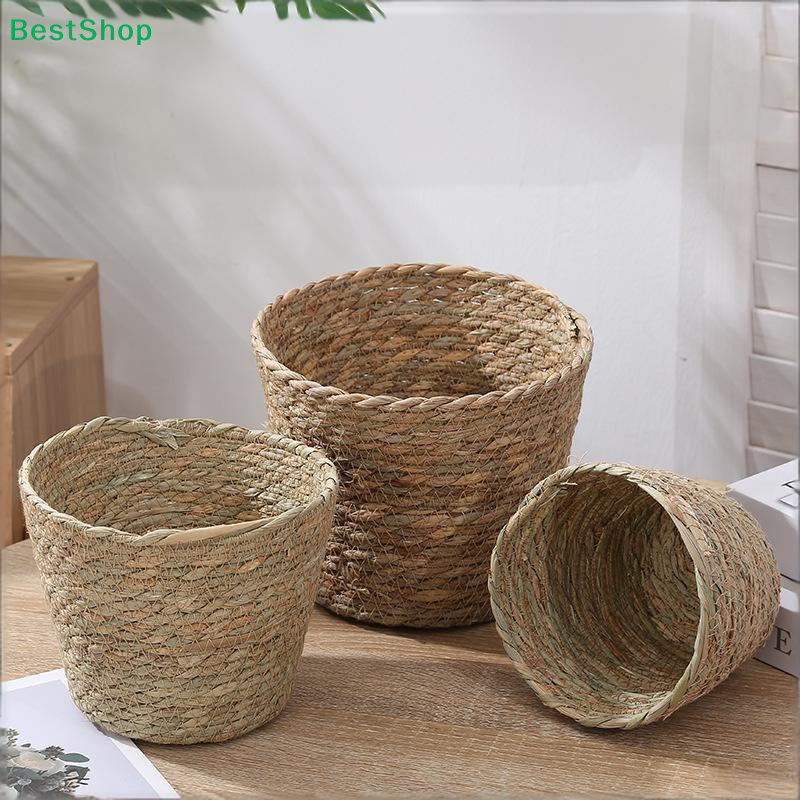 ♩Handwoven Seagrass Plant Pots - Aloe Vera Pot ulasan dan harga