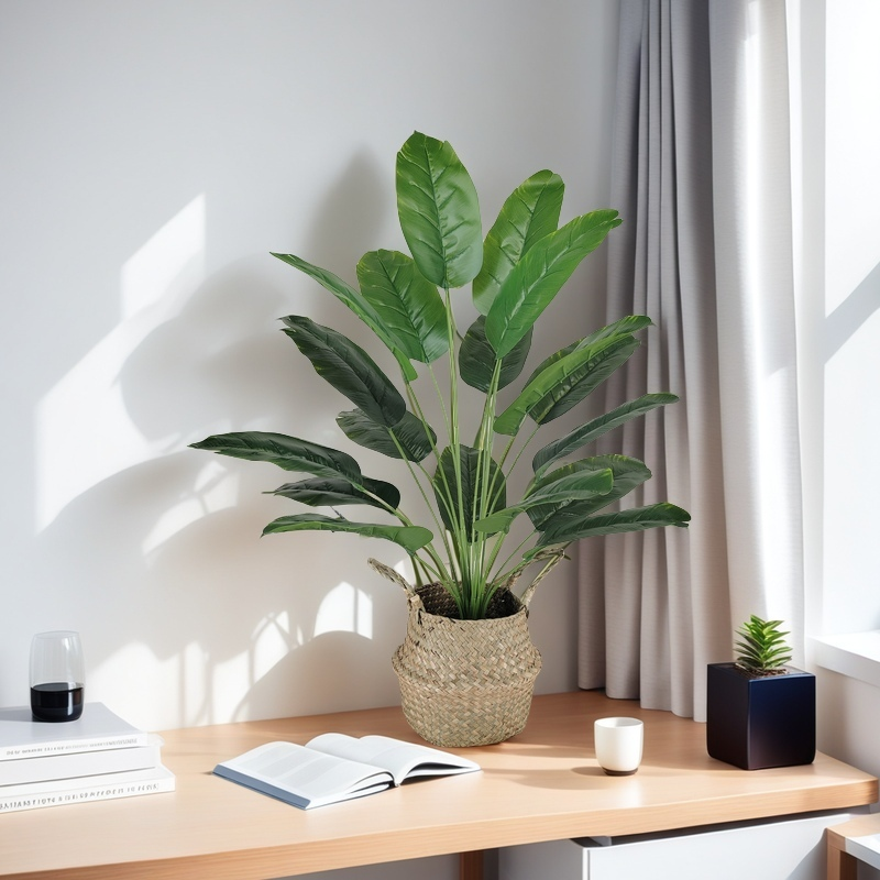Artificial Banana Tree Fake Bi - Dracaena Marginata ulasan dan harga