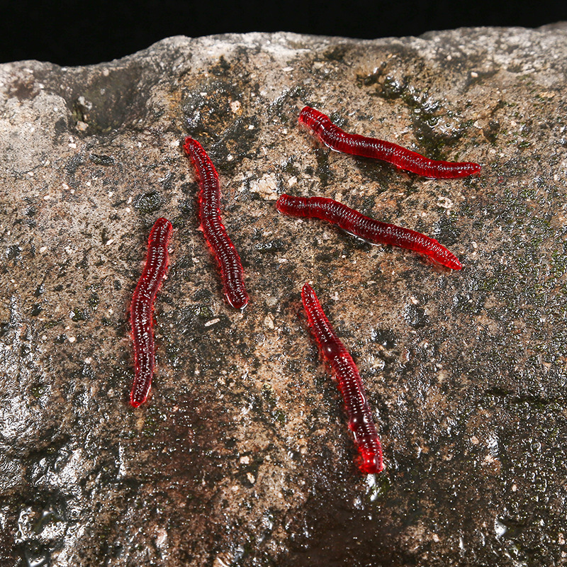 CIBO 50pcs-Artificial Red Worm - Aglaonema Red ulasan dan harga