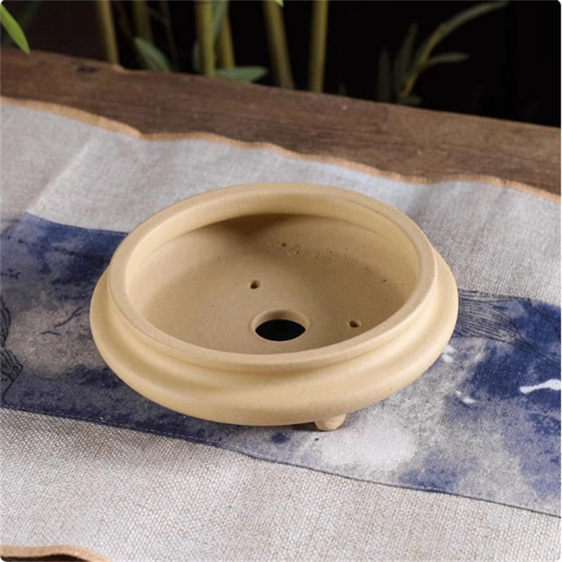 Ceramic Bonsai Pot, Flat Circl - Pilea Peperomioides ulasan dan harga
