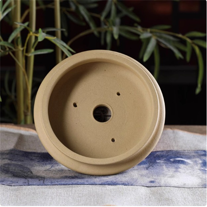Ceramic Bonsai Pot, Flat Circl - Pilea Peperomioides ulasan dan harga