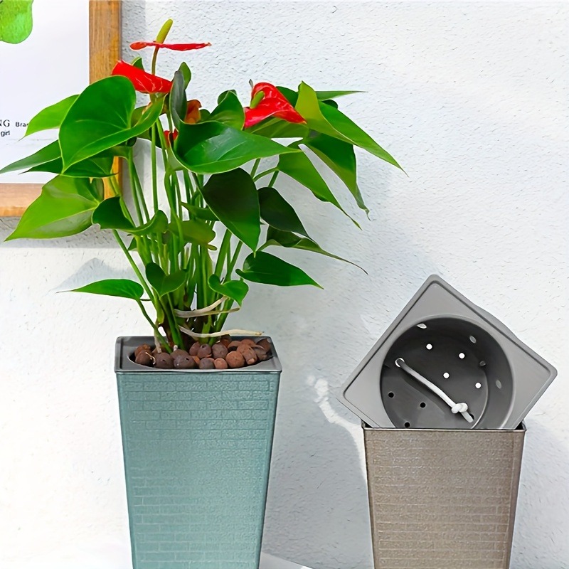 Plastic Brick Pattern Flowerpo - Pilea Peperomioides ulasan dan harga