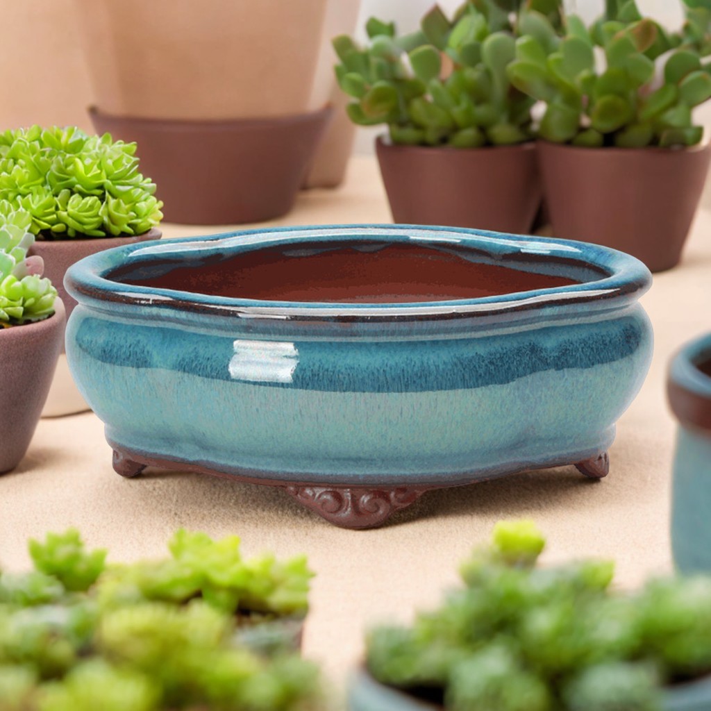 Ceramic Succulent Flower Pot C - Pilea Peperomioides ulasan dan harga